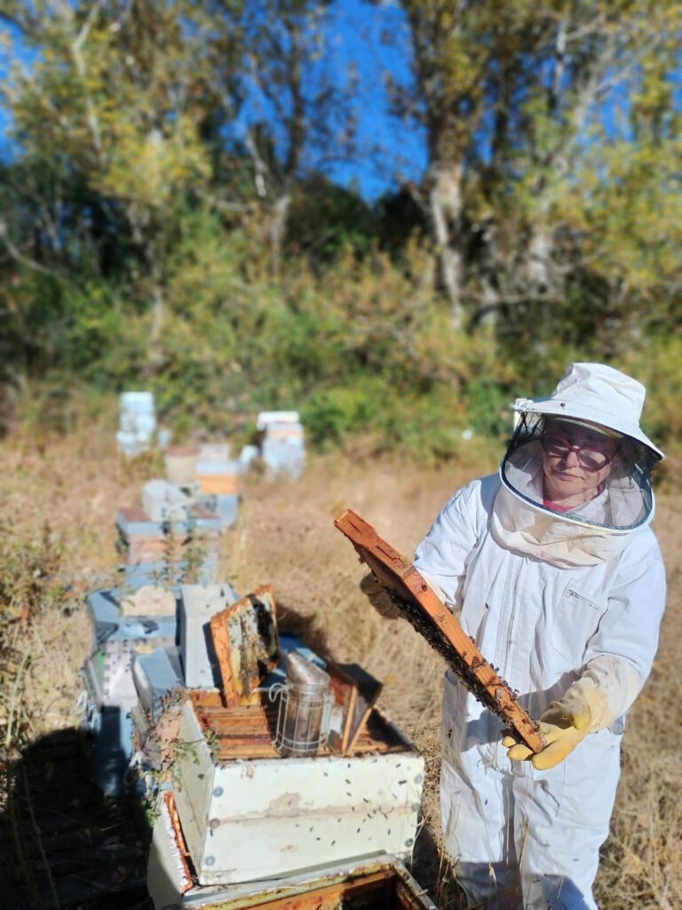 Apicultora profesional Secretos de abejas Cantabria